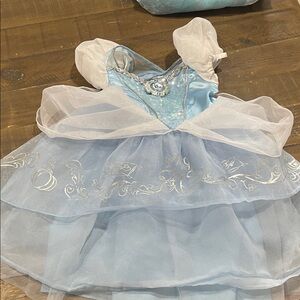Disney Blue and White Princess Costume